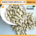 Amendoim Pele Vermelha Amendoim Origem Shandong